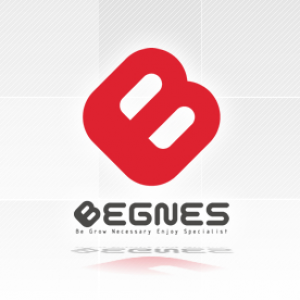 株式会社ベグネス