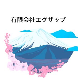有限会社エグザップ