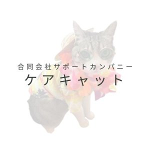 合同会社 サポートカンパニー ケアキャット