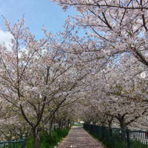 株式会社ブラザーフッド神野