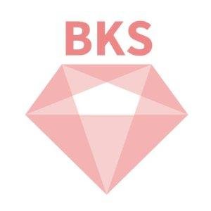 合同会社BKS