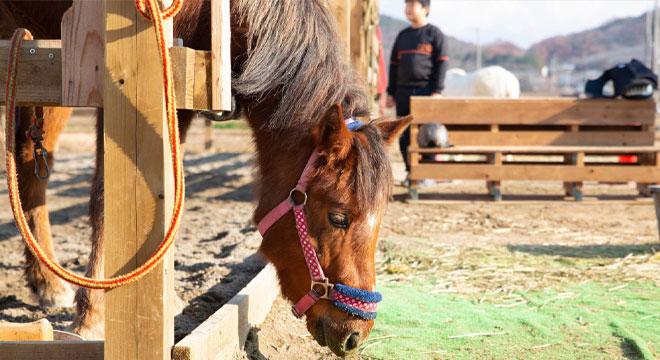 児童デイサービス みゅーず