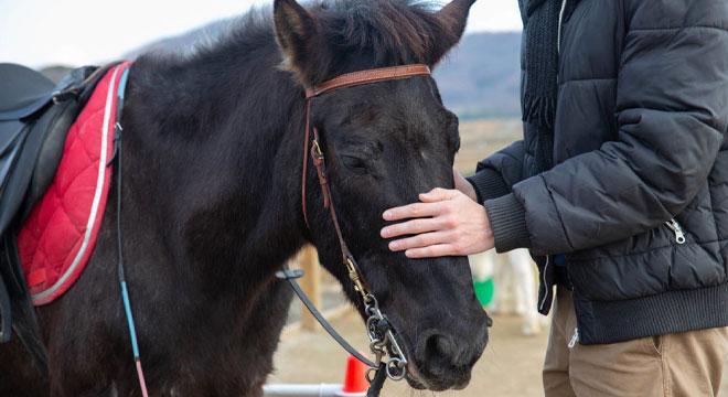 児童デイサービス みゅーず