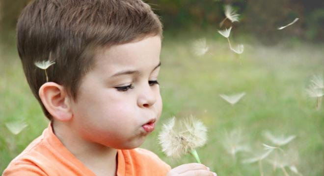 たすく株式会社
