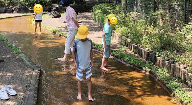 放課後等デイサービス 虹いろデイ みずいろホーム