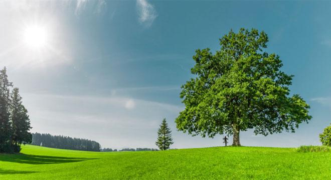 よすが訪問看護ステーション