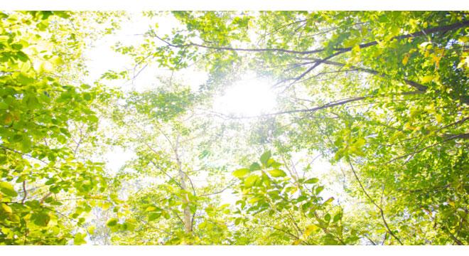 おひさま訪問看護ステーション