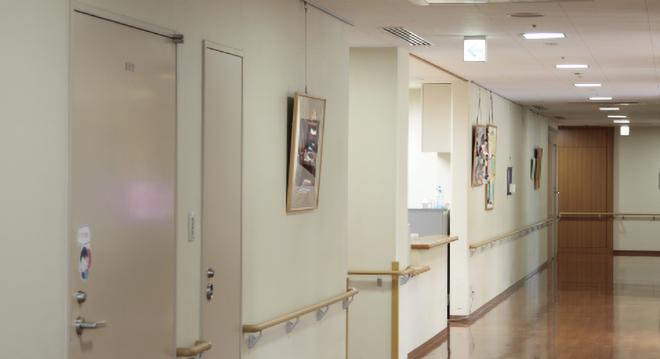 もみの樹・杉並