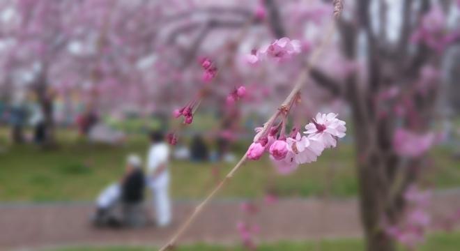 NPO法人ケアサポート湧