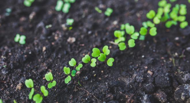 就労継続支援B型事業所 庭と森