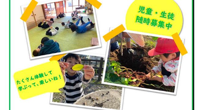 合同会社たけのこproject