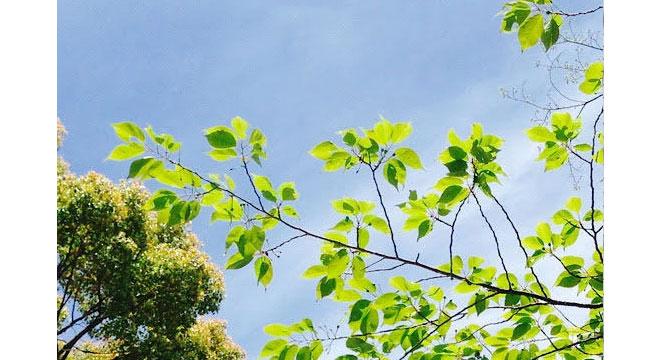 株式会社あさひ保育所