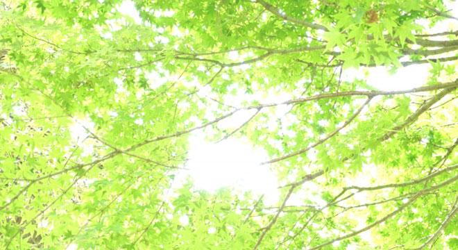 株式会社 ashikana