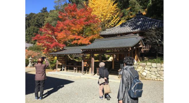 NPO法人 福祉ワーカーズほーぷ