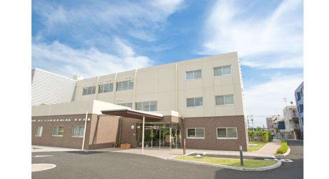 もみの樹・横浜鶴見