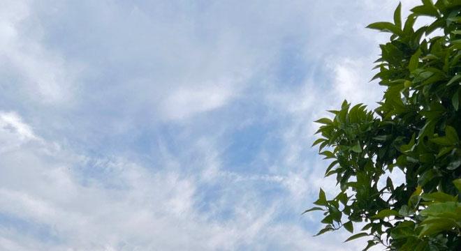 こころん訪問看護ステーション