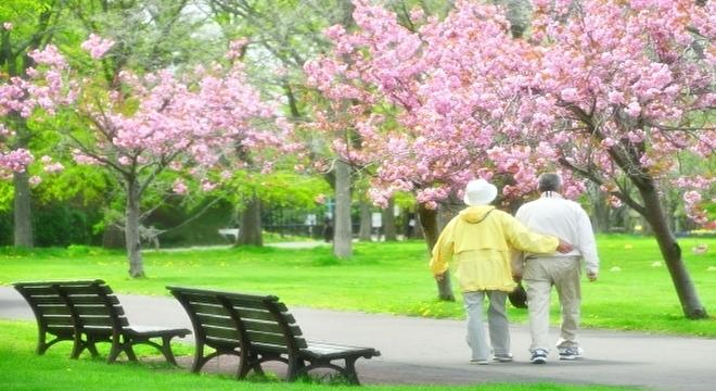 グループホームはるすのお家・和歌山