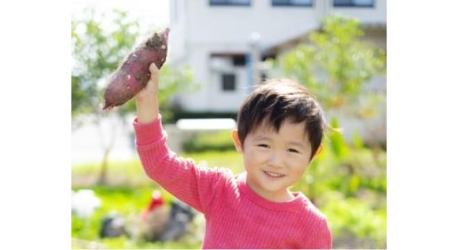株式会社ピュット