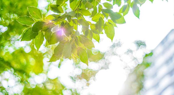 メリッサ訪問看護ステーション所沢