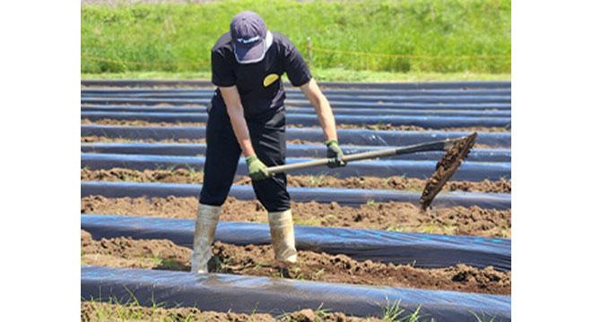 一般社団法人都市農福を推進する会