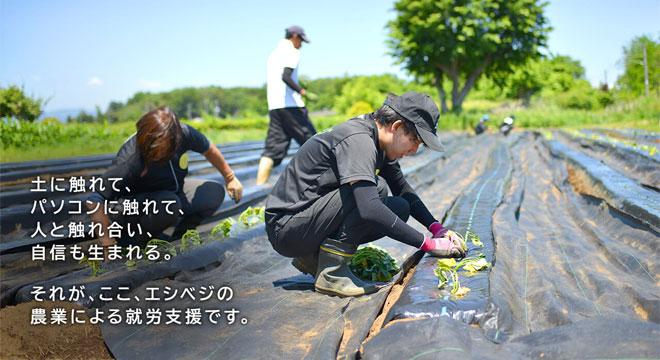 一般社団法人都市農福を推進する会