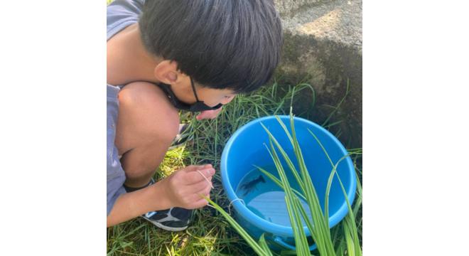 合同会社からふるぱーとなーず