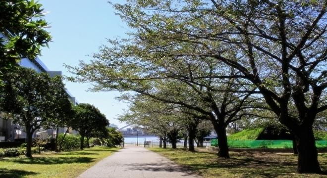 訪問介護 れんげ（株式会社 IBUSHIGIN）