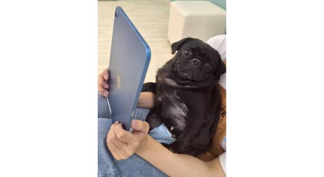 株式会社 TEKO TEKO