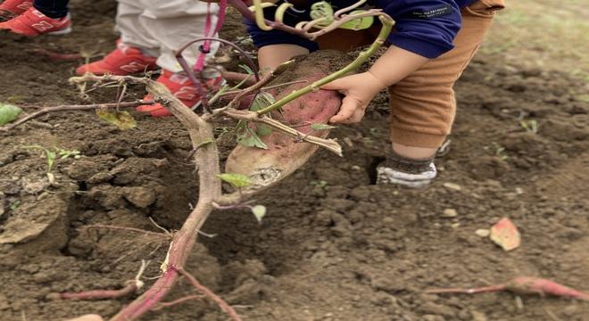 株式会社ウィズチャイルド