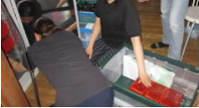 株式会社RISE　※No.A2011