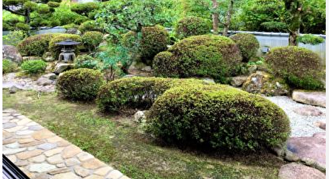 株式会社RISE　※No.A2027