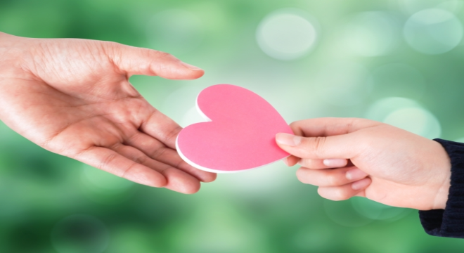 株式会社RISE　※No.A2072