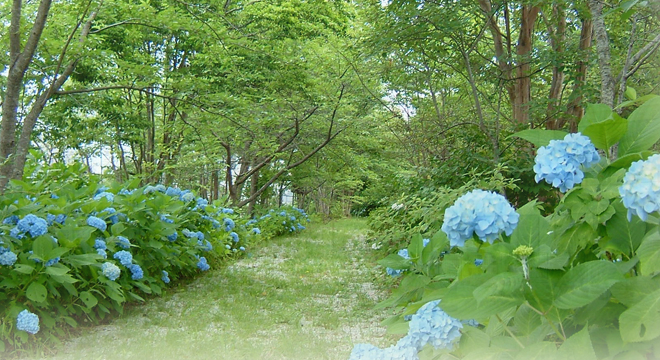 株式会社RISE　※No.2099