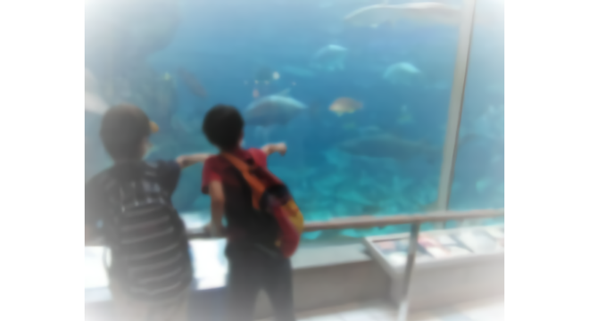 くおら有限会社