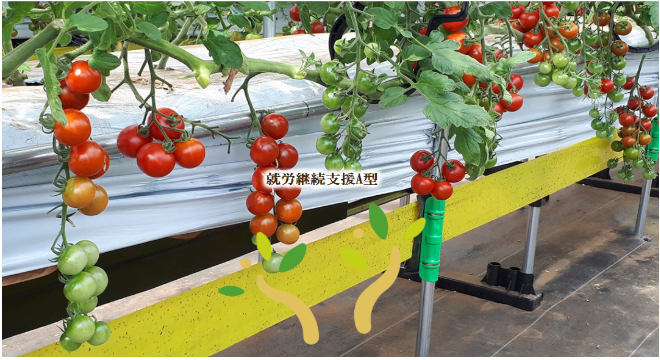 株式会社テアテル