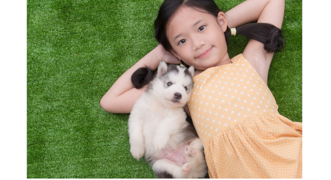 株式会社RISE　※No.2149