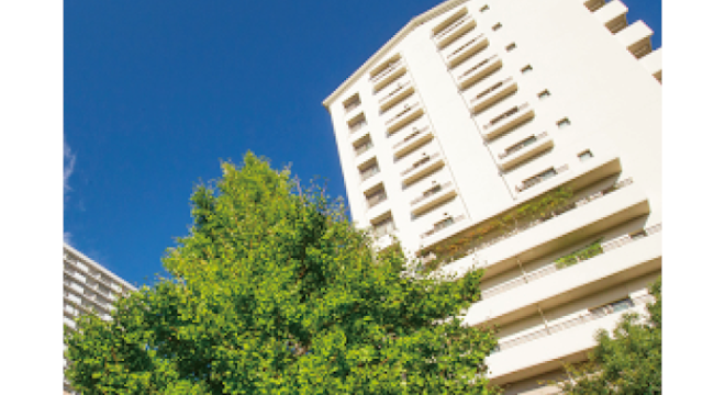 株式会社RISE　※No.2112