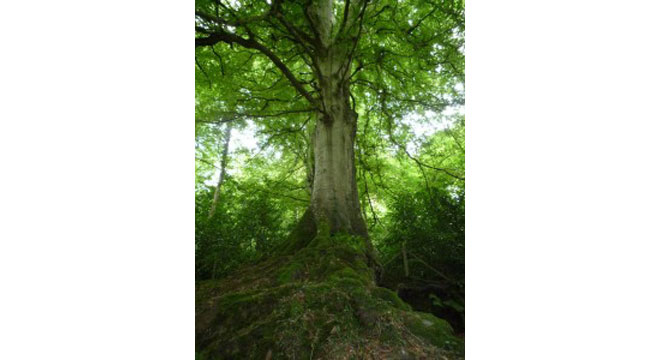 東京福祉サービス株式会社