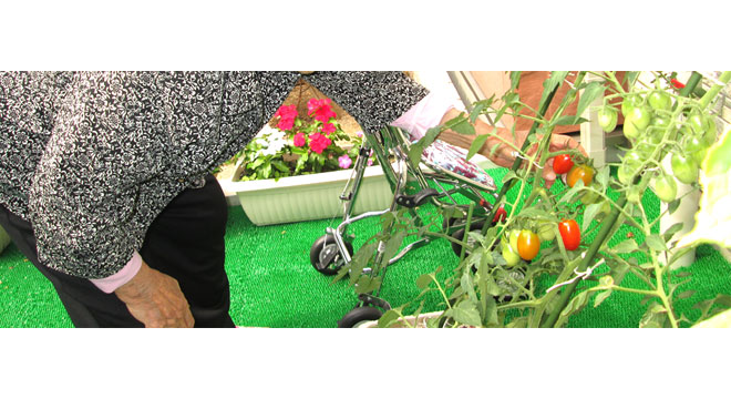 株式会社会社RISE　※No.2213