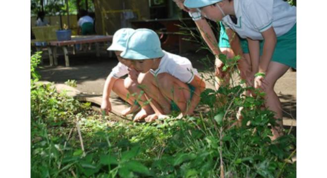 学校法人荒畑学園