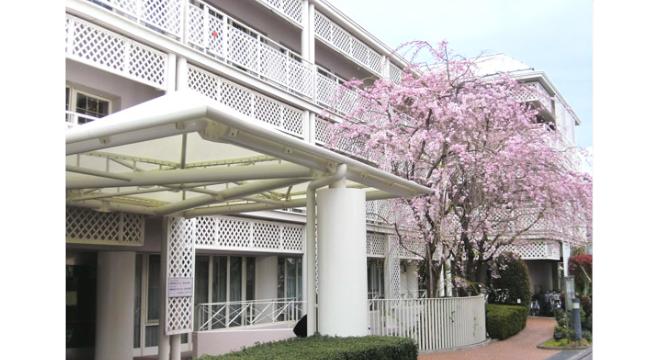 社会福祉法人 アゼリヤ会