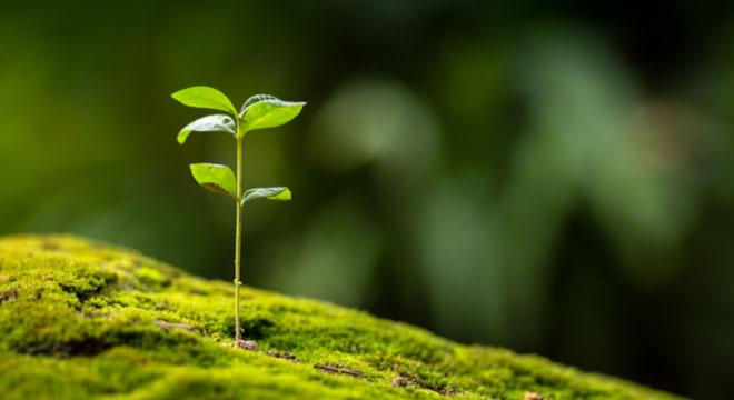 株式会社T'Sコーポレーション