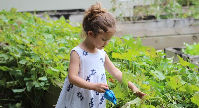 児童発達支援・放課後等デイサービスるる