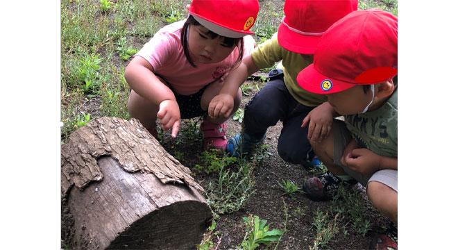 社会福祉法人いるま保育会