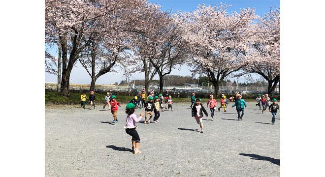 社会福祉法人いるま保育会