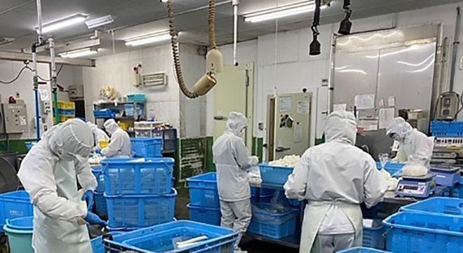 有限会社だいこん畑