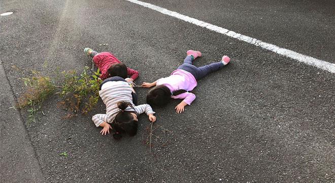 特定非営利活動法人おはな