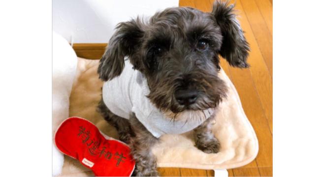 合同会社Live Together