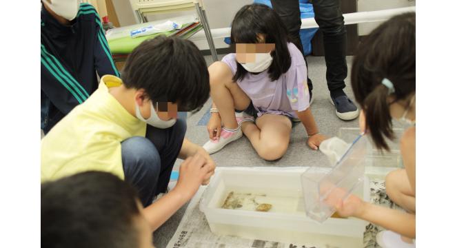 ハッピーテラス 堺北花田教室
