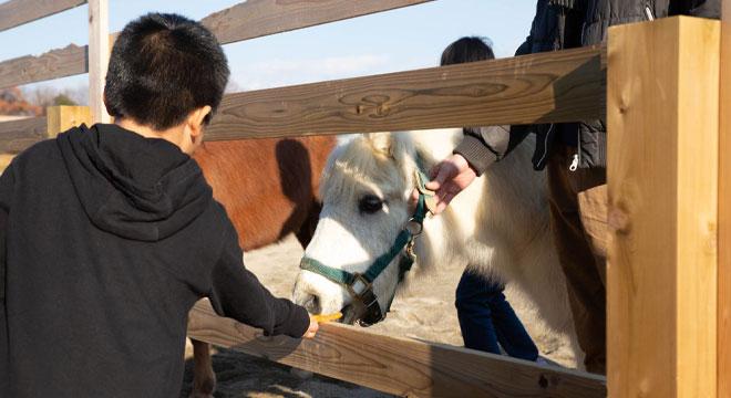 児童デイサービス みゅーず